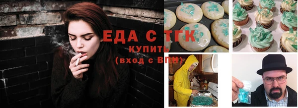 МДПВ Бородино