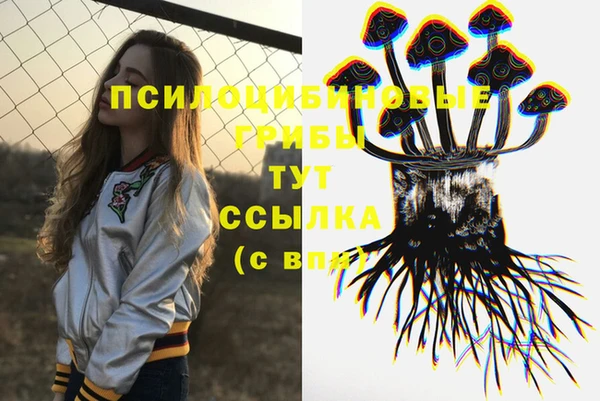 герыч Бронницы