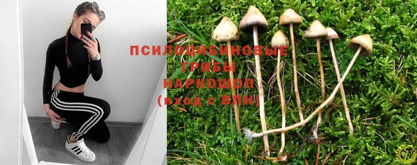 МДПВ Бородино