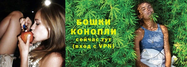 МДПВ Бородино