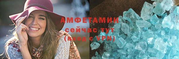 МДПВ Бородино