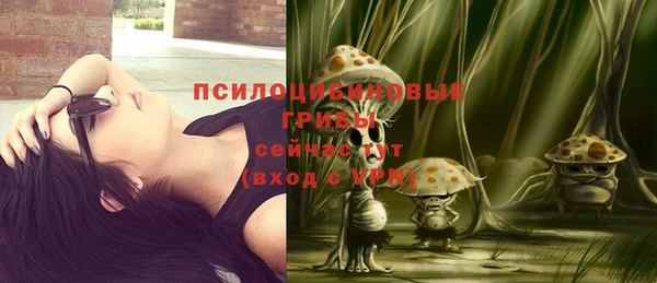 герыч Бронницы