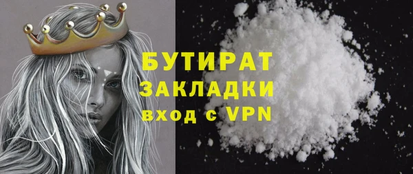 МДПВ Бородино