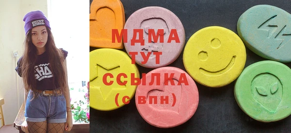 МДПВ Бородино
