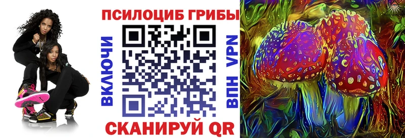 наркотики  Сретенск  Галлюциногенные грибы мицелий 